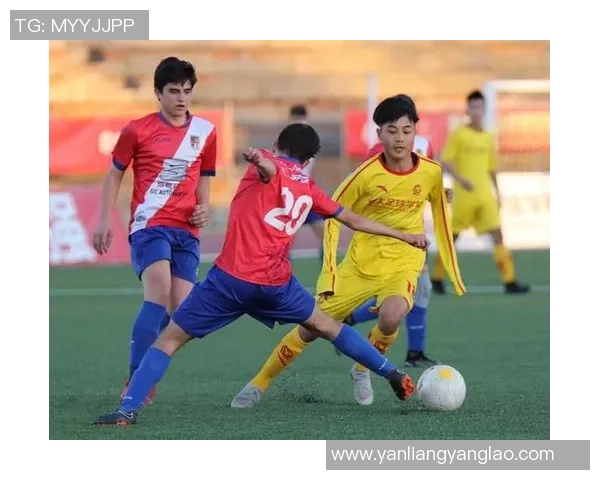 成都足球队在冠军赛中的战术分析与表现评估